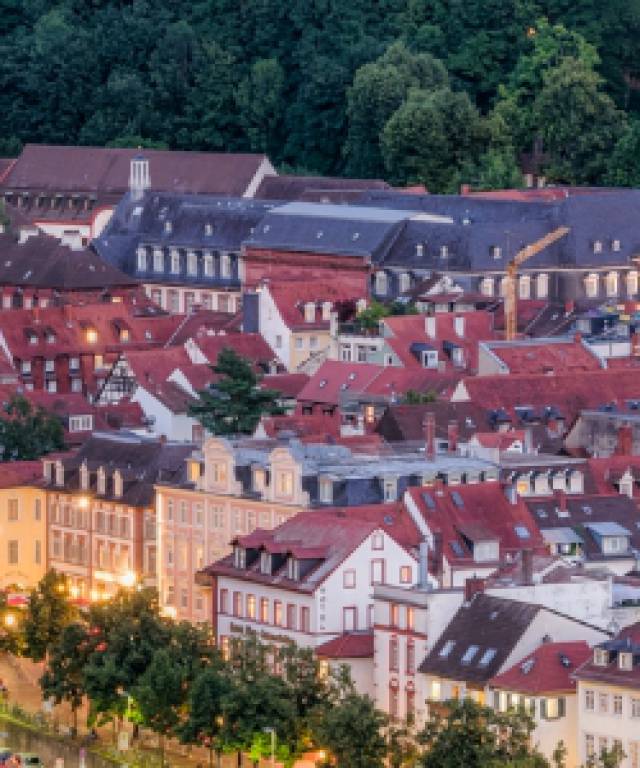 romantische Altstadt Heidelberg von oben
