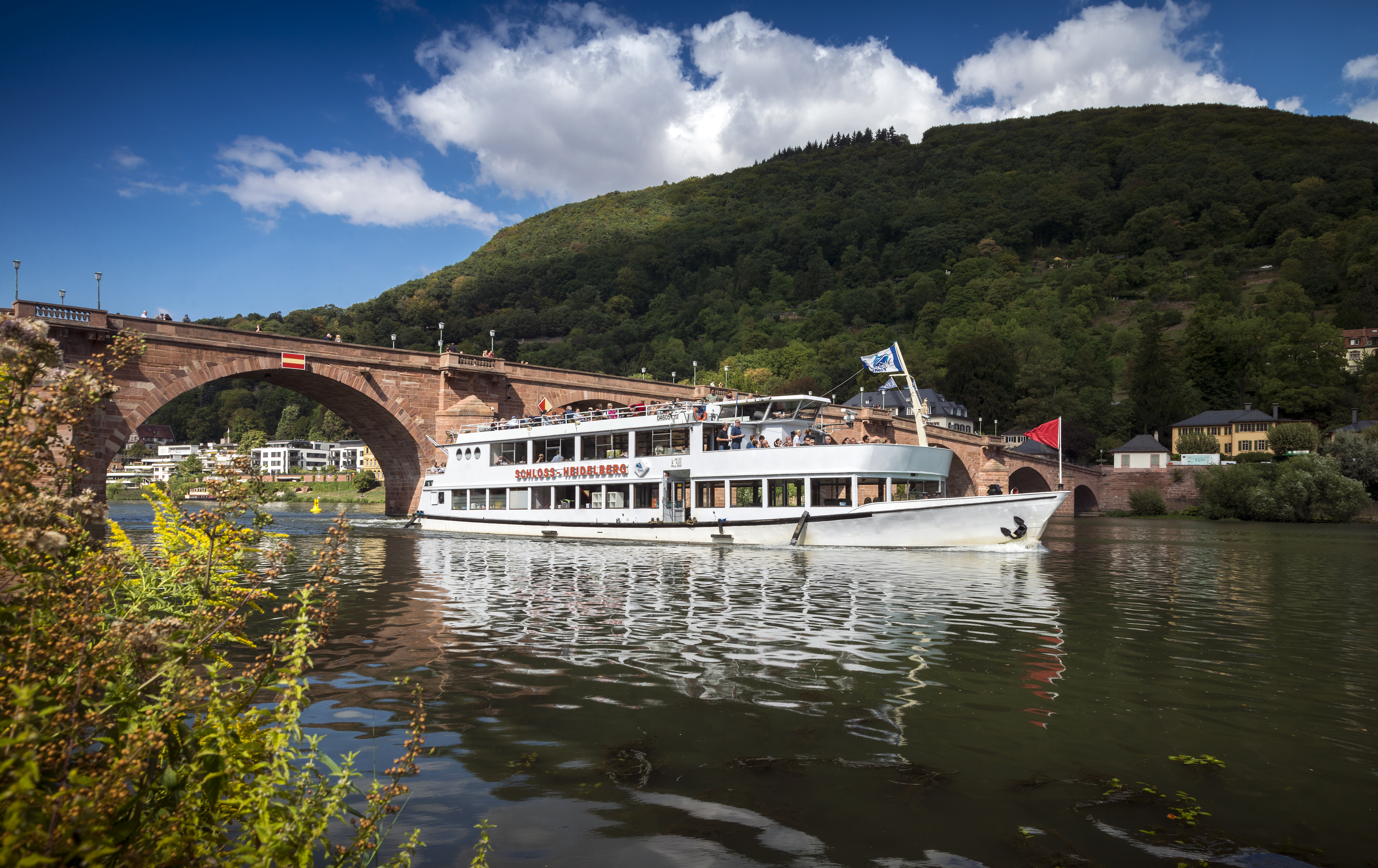 Weiße Flotte auf dem Neckar in Heidelberg